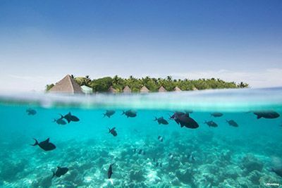 Información útil para un viaje a las Islas.