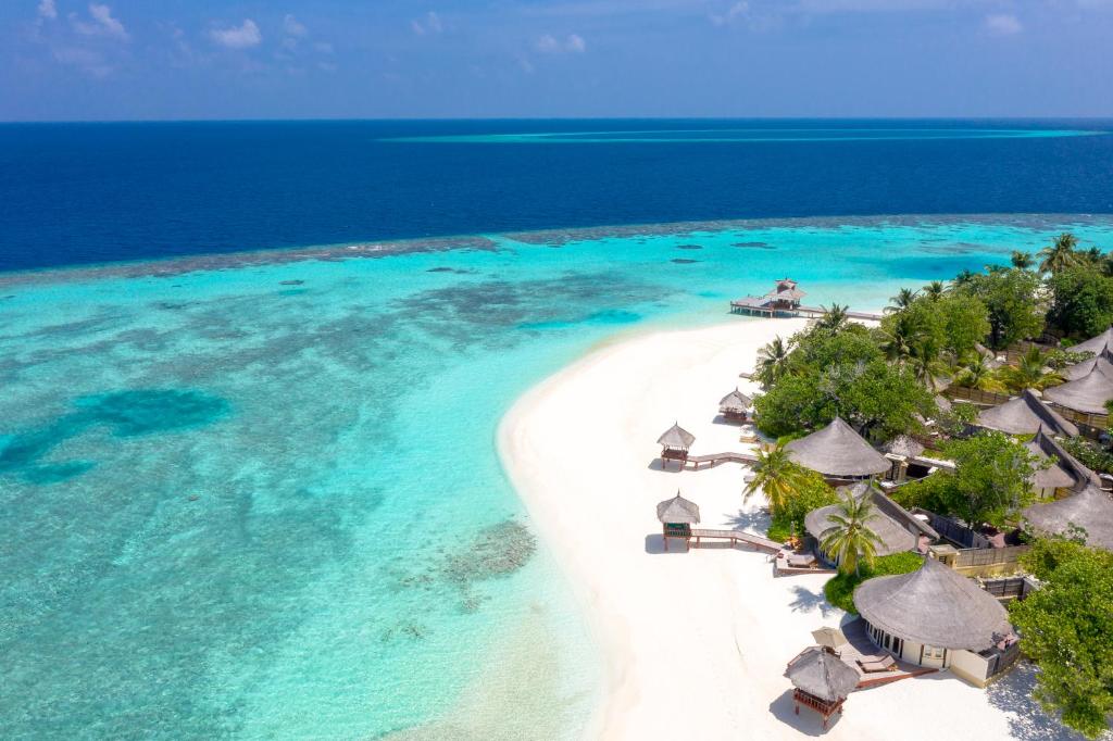 Playa del banyan tree buceo en Maldivas