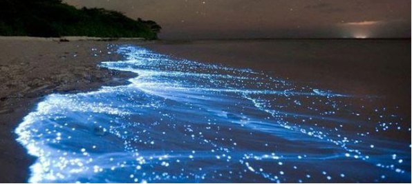 Vaadhoo, bioluminiscencia en Maldivas