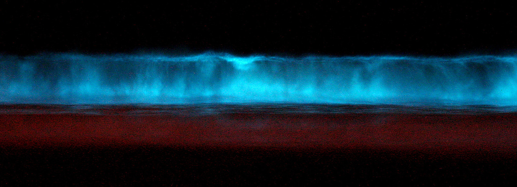 bioluminiscencia en Maldivas en la isla de Vaadhoo