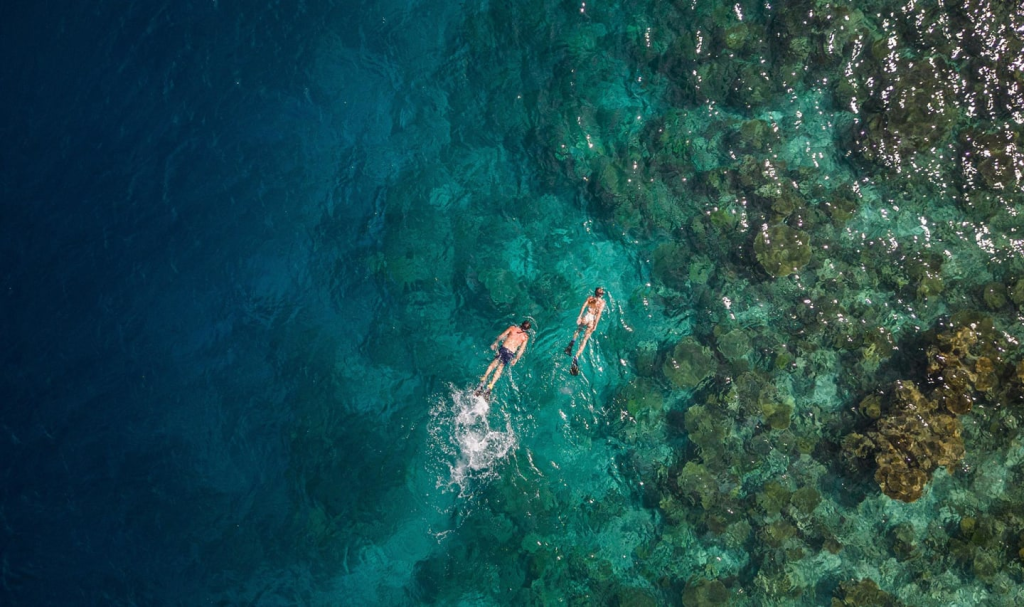 Snorkel en el NH Maldivas