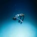 Apnea en Maldivas